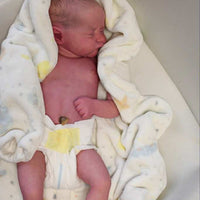 MAPLE by Sheila Mrofka