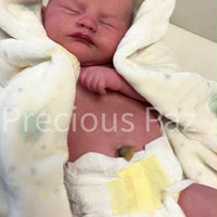 MAPLE by Sheila Mrofka