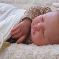REVERIE by Sienna Niall
