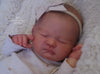 REVERIE by Sienna Niall