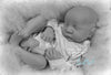 LEVI by Bonnie Brown blank kit