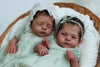 LILY and IRYS by Joanna Kazmierczak