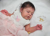 RAE RAE by Doris Hornbogen