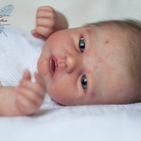 ROBIN AWAKE - truborns