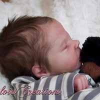 ROBIN ASLEEP - truborns