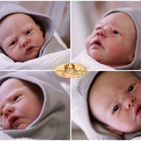 ROBIN AWAKE - truborns