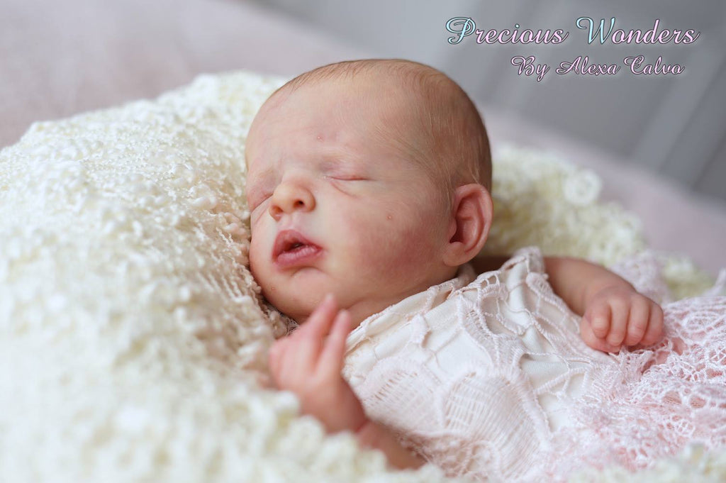Kit reborn shop noel olga auer