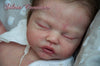 ROBIN ASLEEP - truborns
