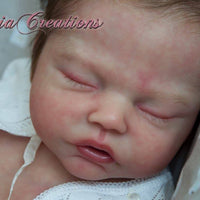 ROBIN ASLEEP - truborns