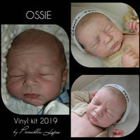 OSSIE by Priscilla Lopes - truborns