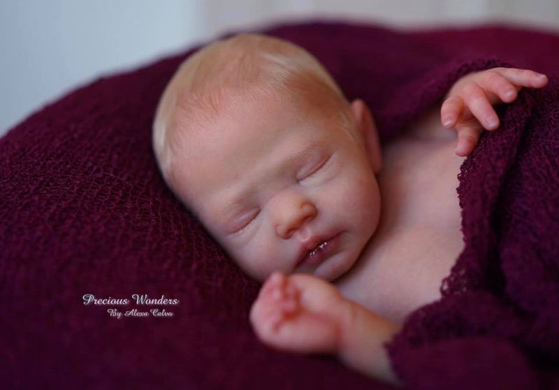 70510193_2386537871383660_5159