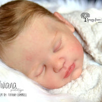 Viviana by Tiffany Campbell - truborns