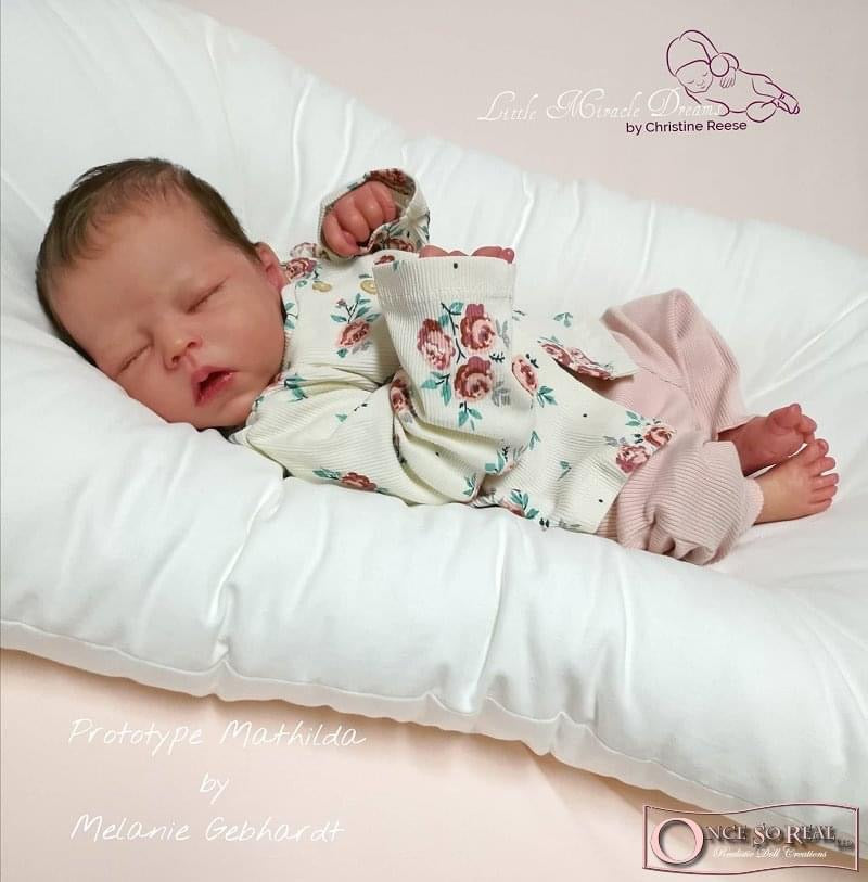 Kit de renaissance de Milan Melanie Gebhardt Kit de renaissance de Milan Melanie Gebhardt