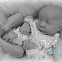 LEVI by Bonnie Brown blank kit EDITION #2 - truborns